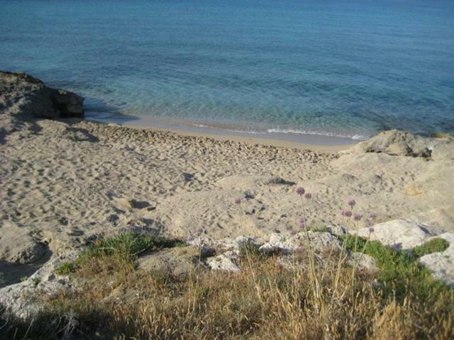 فيلا Attico A 150 Mt Dal Mare مارينا دي مانكافيسا المظهر الخارجي الصورة